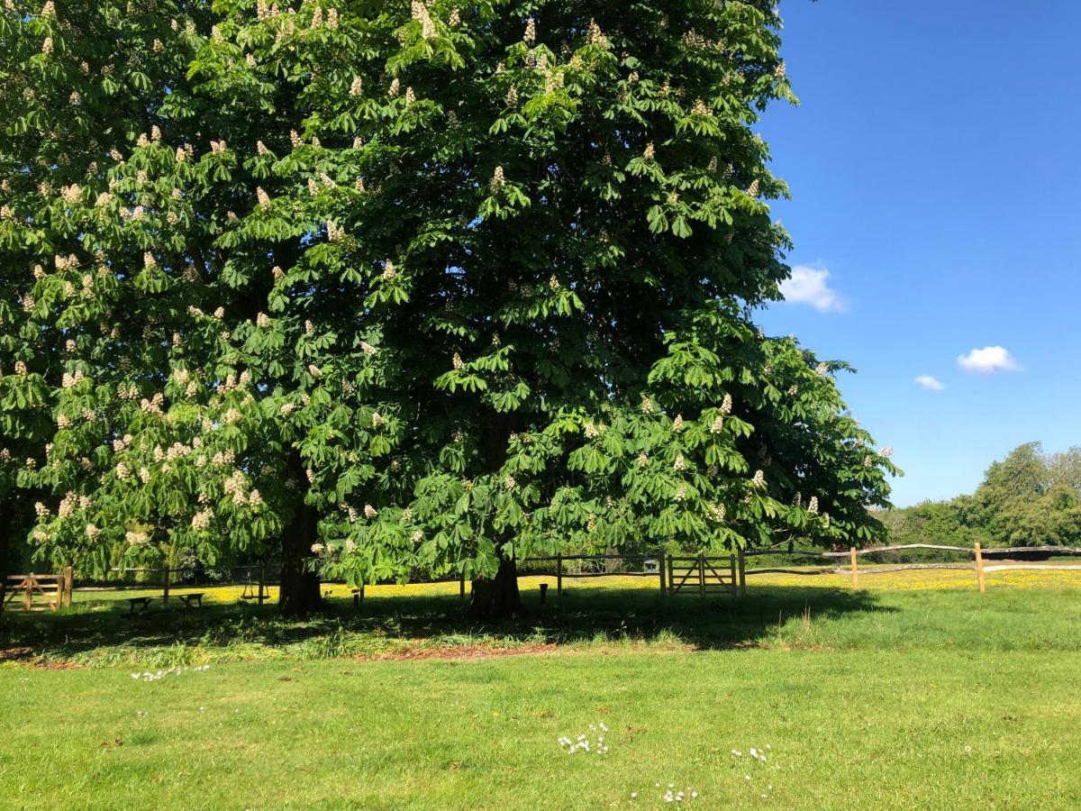 Ryefield Cottage - Luxurious Self-Catered Holiday Cottage With A Log Burner Chichester Luaran gambar