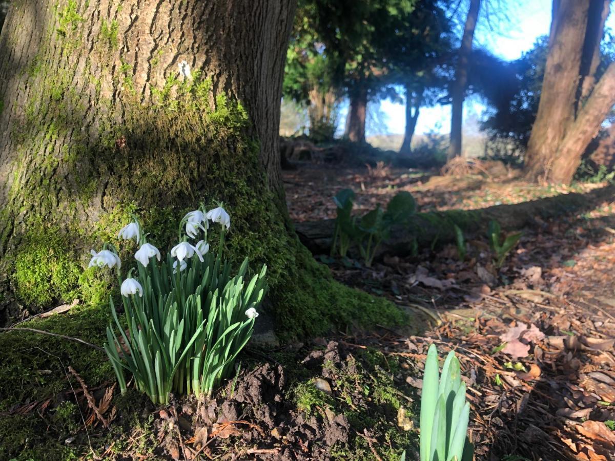 Ryefield Cottage - Luxurious Self-Catered Holiday Cottage With A Log Burner Chichester Luaran gambar
